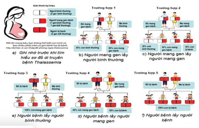 Cơ chế di truyền của bệnh tan máu bẩm sinh Thalassemia