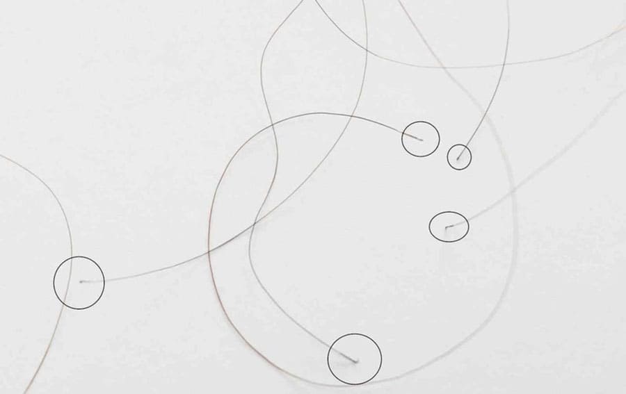 Mẫu tóc có chân. Phần chân tóc sẽ dễ dính vào giấy