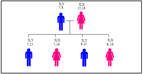 sơ đồ di truyền