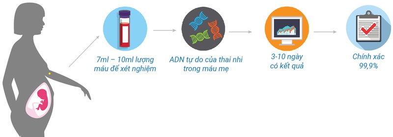 adnvietnam.vn
